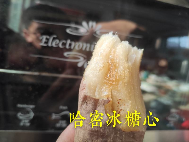 玛莎莉红薯苗玛莎莉种子种苗黄金薯日本高端蜜薯