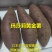 玛莎莉红薯苗玛莎莉种子种苗黄金薯日本高端蜜薯