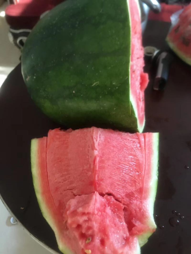 美国飓风西瓜种子抗病抗重茬丰产耐运输