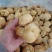 猴头菇，各种规格猴头菇大量上市，产地直销营养价值高