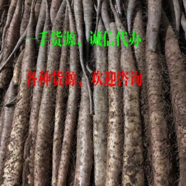 山药，白玉山药，一手货源，保质保量，产地直发