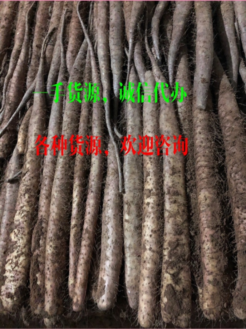 山药，白玉山药，一手货源，保质保量，产地直发