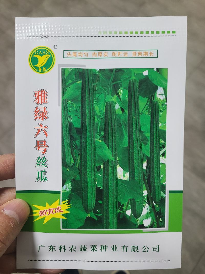 一代交配，广东科农种业出品，丝瓜种子