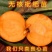 新品种《无核》枇杷树《速生生长结果快》枇杷树