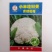 青梗花菜种子春秋两用品种球洁白青梗有机花菜种子