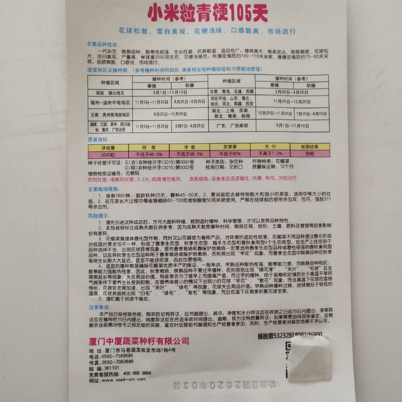 青梗花菜种子春秋两用品种球洁白青梗有机花菜种子