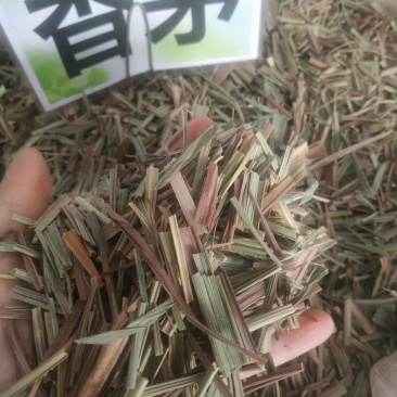 广西玉林精品香茅～新货～量大优惠～欢迎老板联系