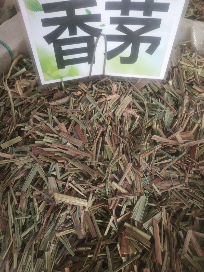 广西玉林精品香茅～新货～量大优惠～欢迎老板联系