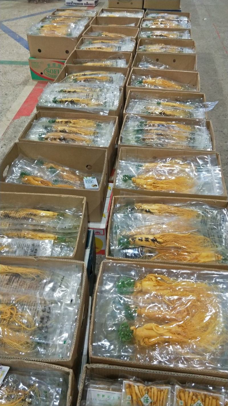 原产地批发优质保鲜参[送礼自用佳品]量大从优