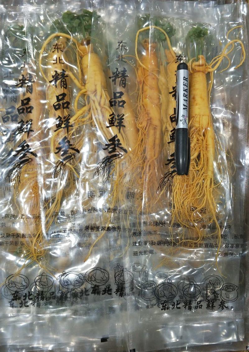原产地批发优质保鲜参[送礼自用佳品]量大从优