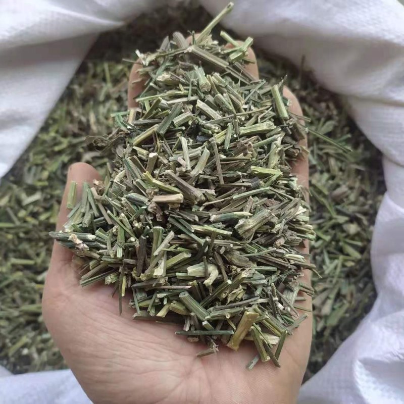 穿心莲产地直供支持线上交易可搭配多品种采购大货联系