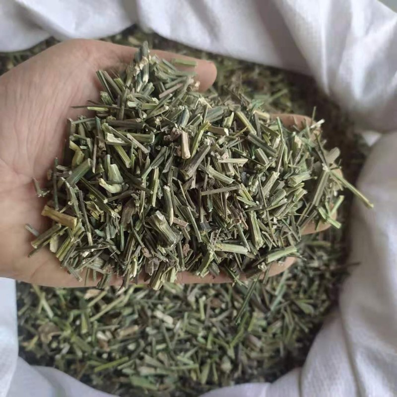 穿心莲产地直供支持线上交易可搭配多品种采购大货联系