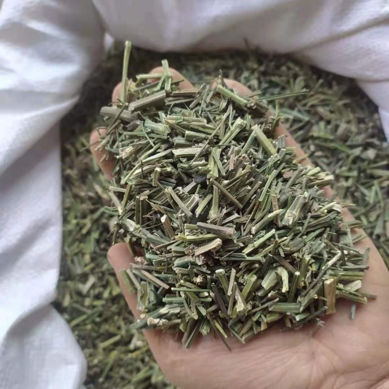 穿心莲产地直供支持线上交易可搭配多品种采购大货联系