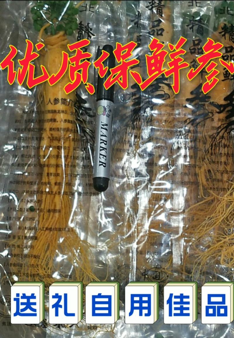 原产地批发优质保鲜参[送礼自用佳品]量大从优