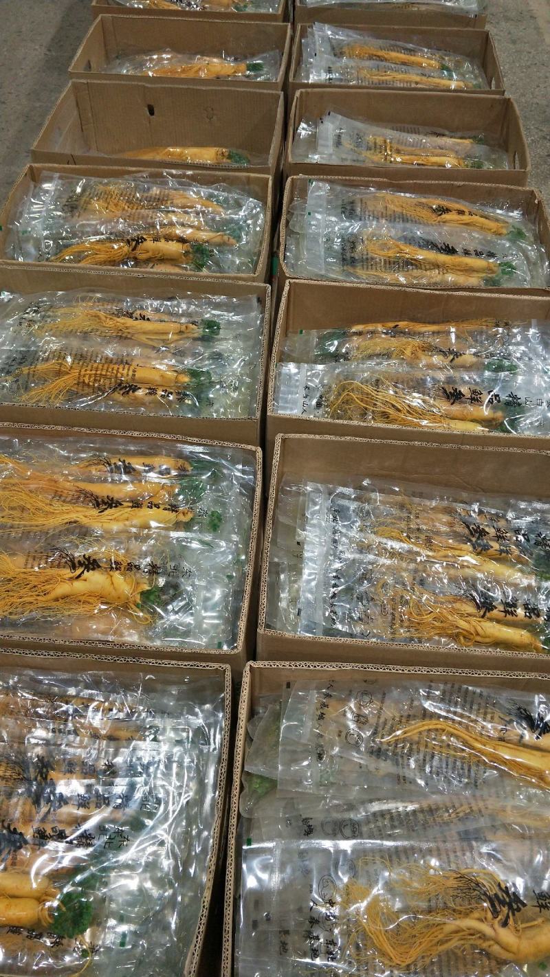 优质保鲜参[送礼自用佳品]产地批发一手货源量大从优