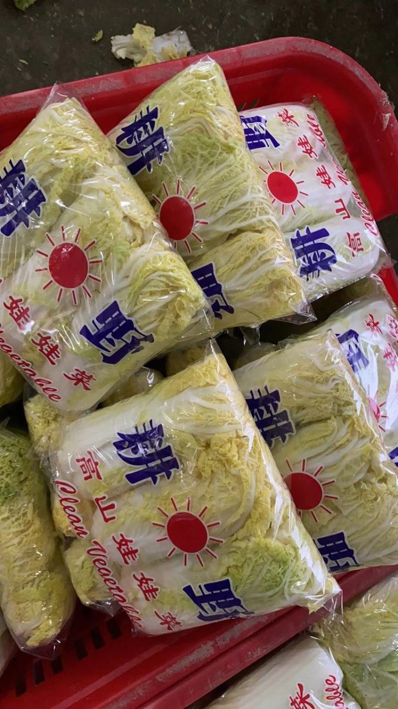 大量供应娃娃菜，万亩基地，质优价廉，提供任何规格包装