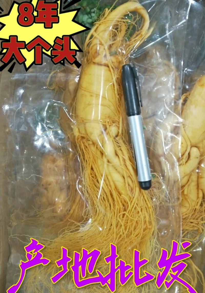 精选8年优质人参6~7两[送礼自用佳品]大量批发