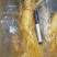 精选8年优质人参6~7两[送礼自用佳品]大量批发