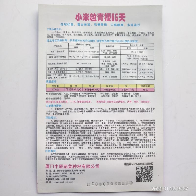 青梗花菜种子春秋两用品种球洁白青梗有机花菜种子
