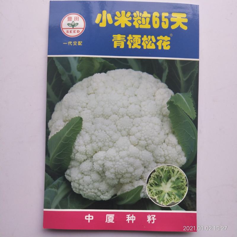青梗花菜种子春秋两用品种球洁白青梗有机花菜种子