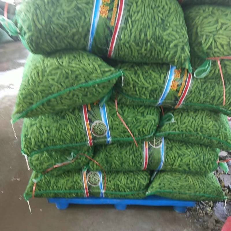 翠绿宝毛豆-基地直供-保证质量-货源充足