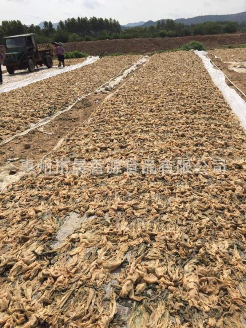 广东惠州特产梅菜干大颗梅菜农家腌制梅菜扣肉梅菜干低盐梅菜