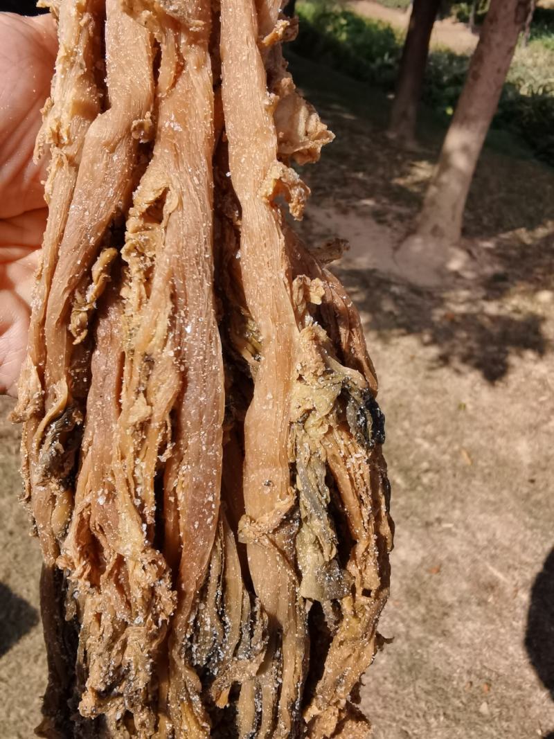 广东惠州特产梅菜干大颗梅菜农家腌制梅菜扣肉梅菜干低盐梅菜