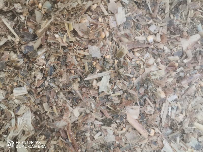 全株青贮玉米饲料籽粒破碎含量高