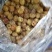 厂家支供大量干蜜各种红枣欢迎您的定货