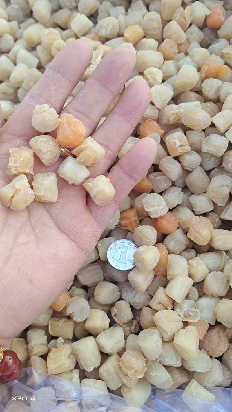 扇贝丁干贝瑶柱足干当季新货，淡干颗粒饱满一手货源