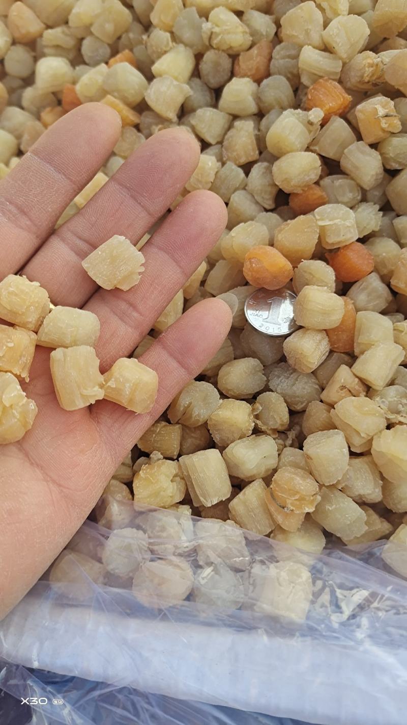 扇贝丁干贝瑶柱足干当季新货，淡干颗粒饱满一手货源