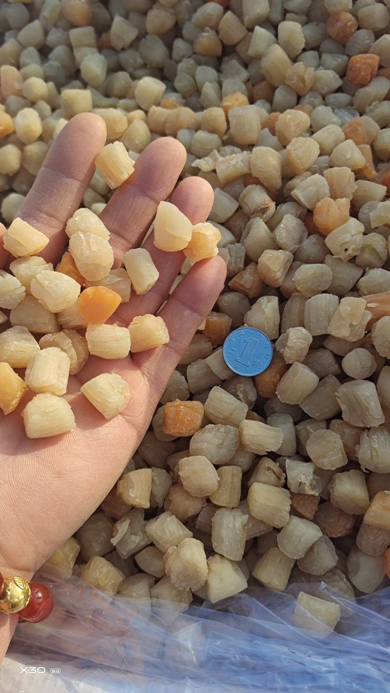 扇贝丁干贝瑶柱足干当季新货，淡干颗粒饱满一手货源