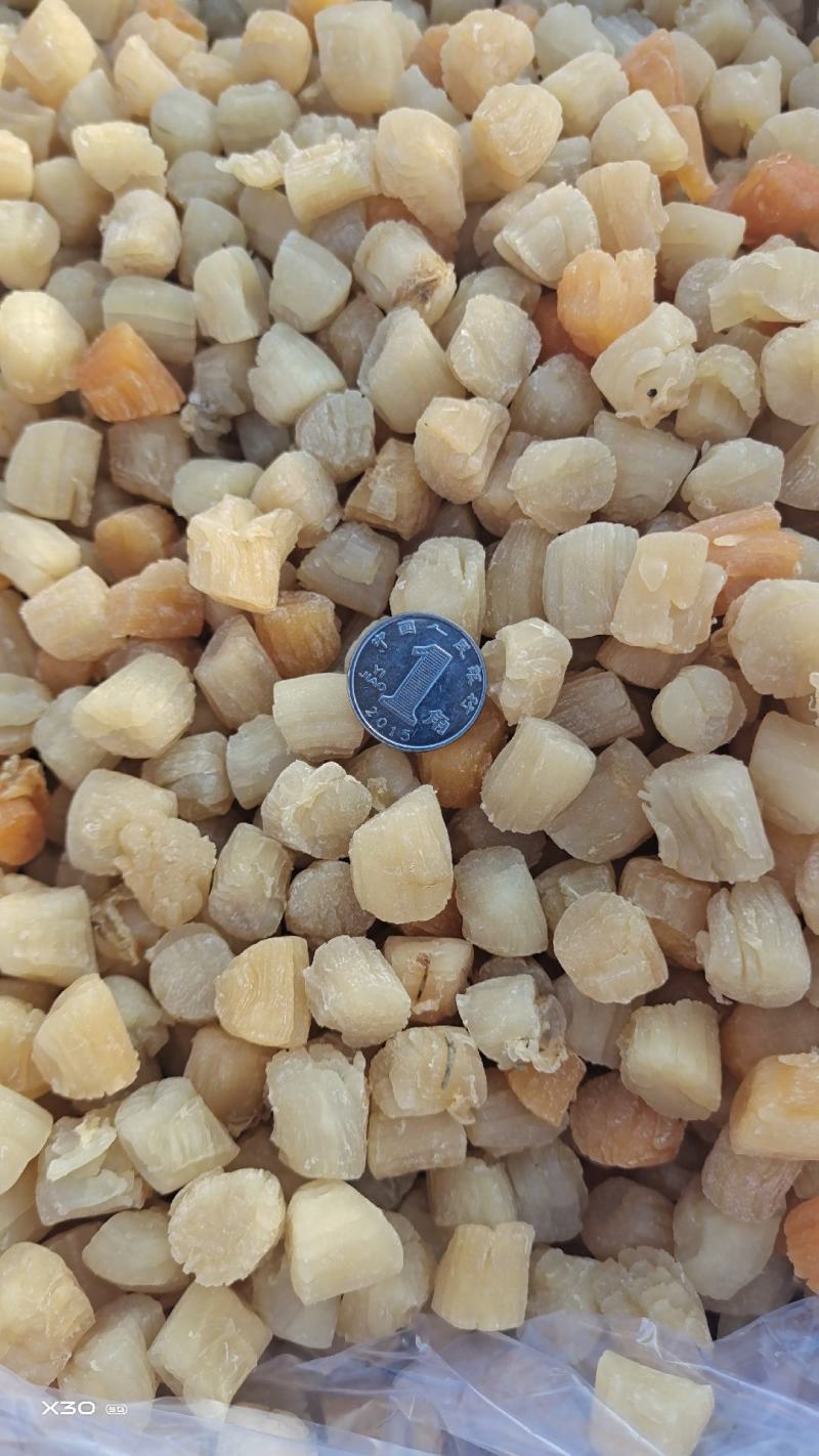 扇贝丁干贝瑶柱足干当季新货，淡干颗粒饱满一手货源