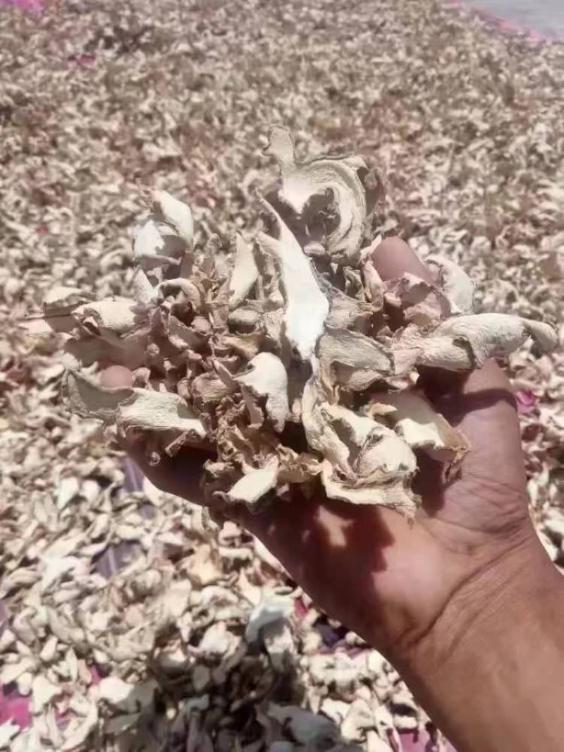 贵州黄果树小黄姜干姜片，香味好，辣度高，