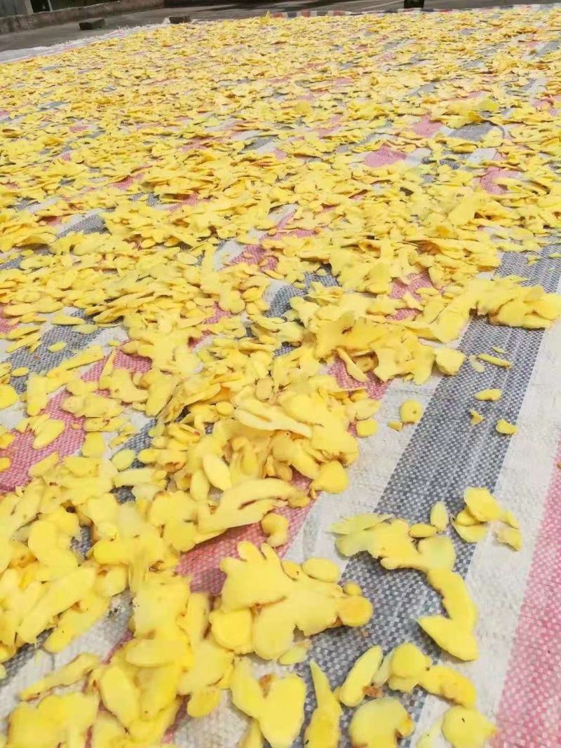 贵州黄果树小黄姜干姜片，香味好，辣度高，
