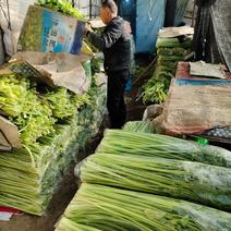 原产地劈掰芹菜各种规格长期供应批发市场食品厂