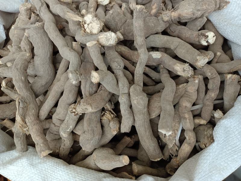 雪里开，拐子药，野生中药材，产地一手货源，批发、零售