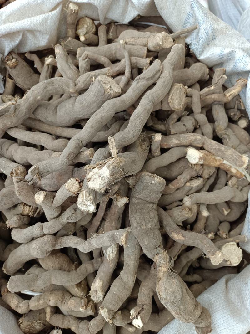雪里开，拐子药，野生中药材，产地一手货源，批发、零售
