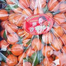 广西砂糖橘精品砂糖橘大量上市欢迎采购香甜可口