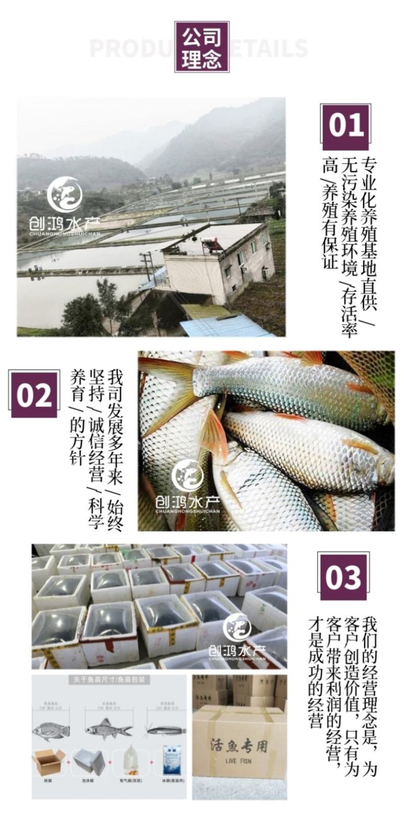 【大量批发】土鲮鱼苗麦鲮鱼苗鲮鱼水花饲料鱼