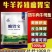 【瘤胃宝】牛羊促反刍,促生长,助消化,防止瘤胃胀气酸中毒