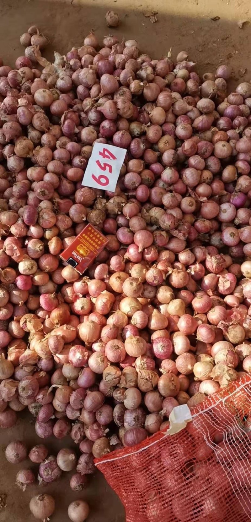 缅甸洋葱大量上市供应