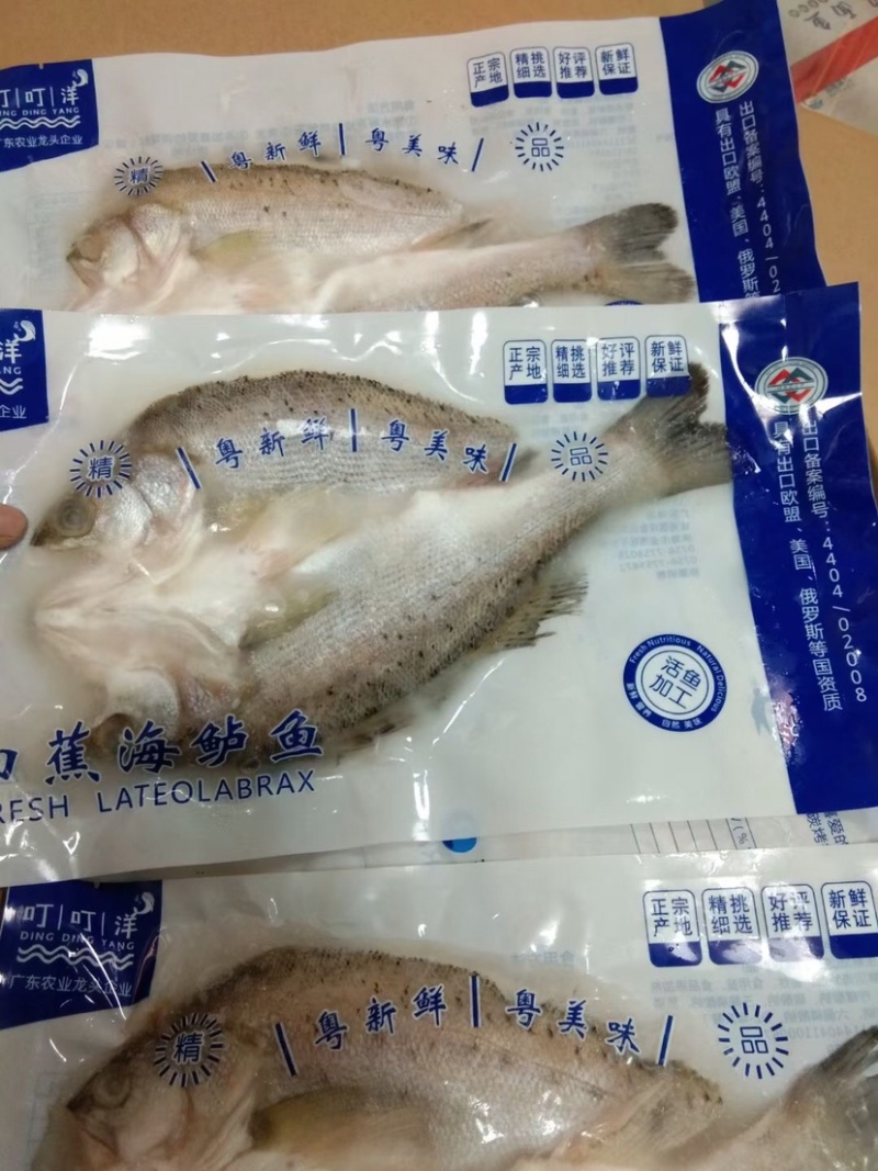 开背海鲈鱼全规格13-20条规格，