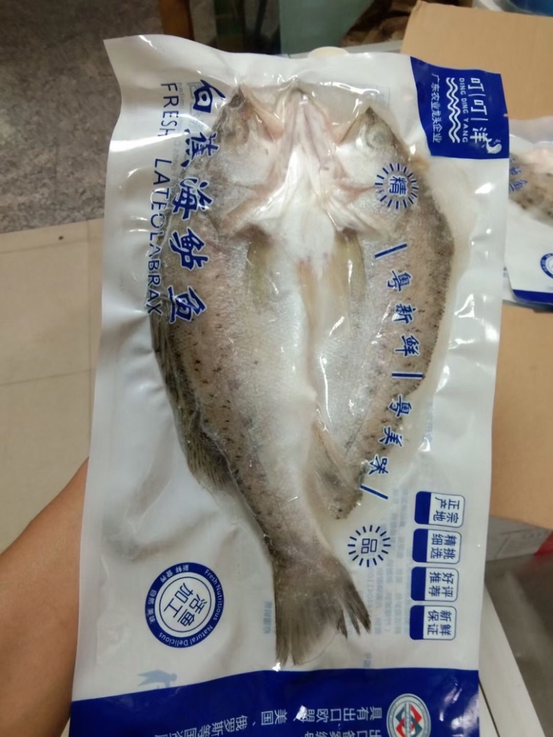开背海鲈鱼全规格13-20条规格，