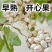 新品种阿月浑子开心果树苗《速生生长结果快》成活率高