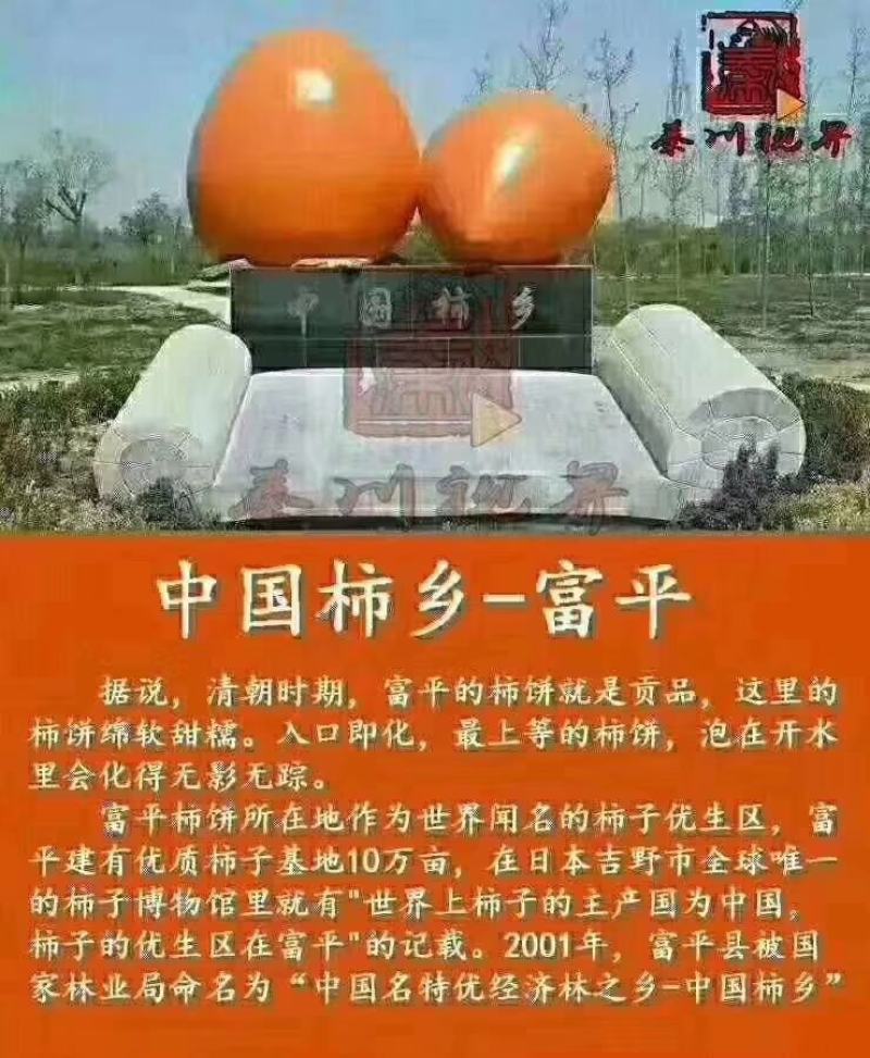 陕西富平自家的优质柿饼