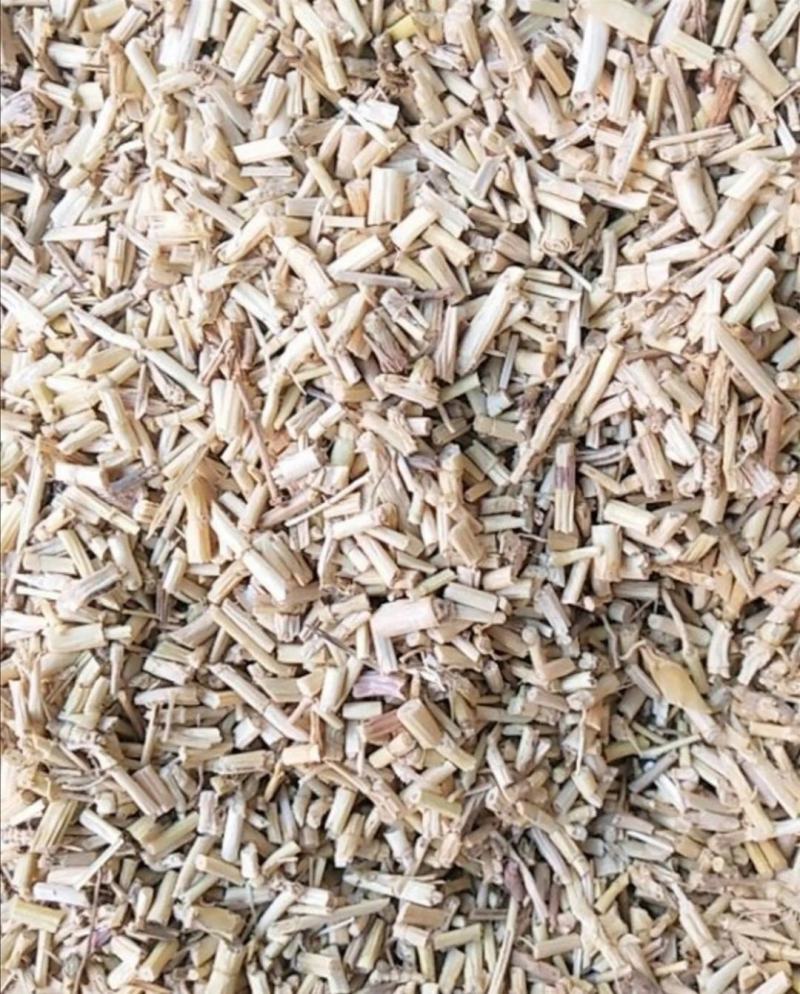 白茅根包邮白茅根干新货中药材甜草根白毛根