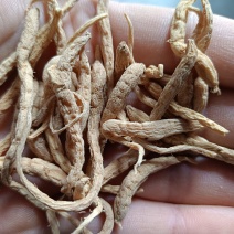 产地直供大统太子参，正品新货无硫，价格便宜，各种规格。