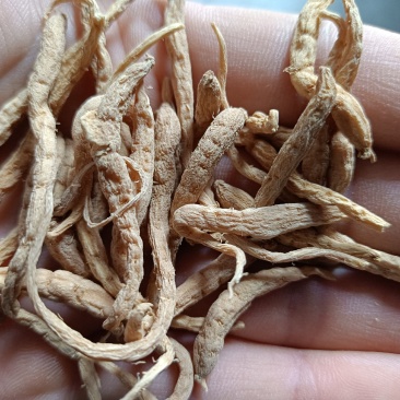 产地直供大统太子参，正品新货无硫，价格便宜，各种规格。