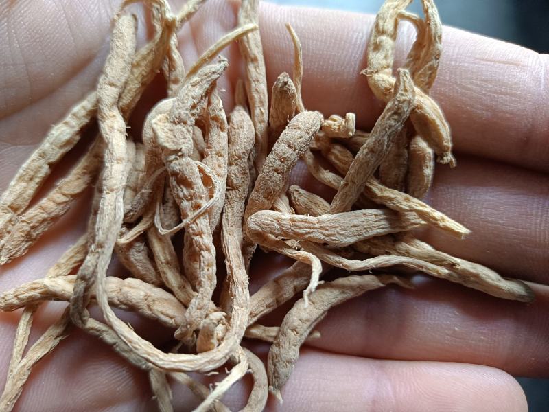 产地直供大统太子参，正品新货无硫，价格便宜，各种规格。